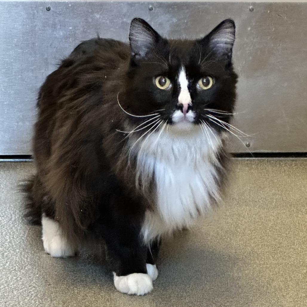 Monty — thumbnail 3