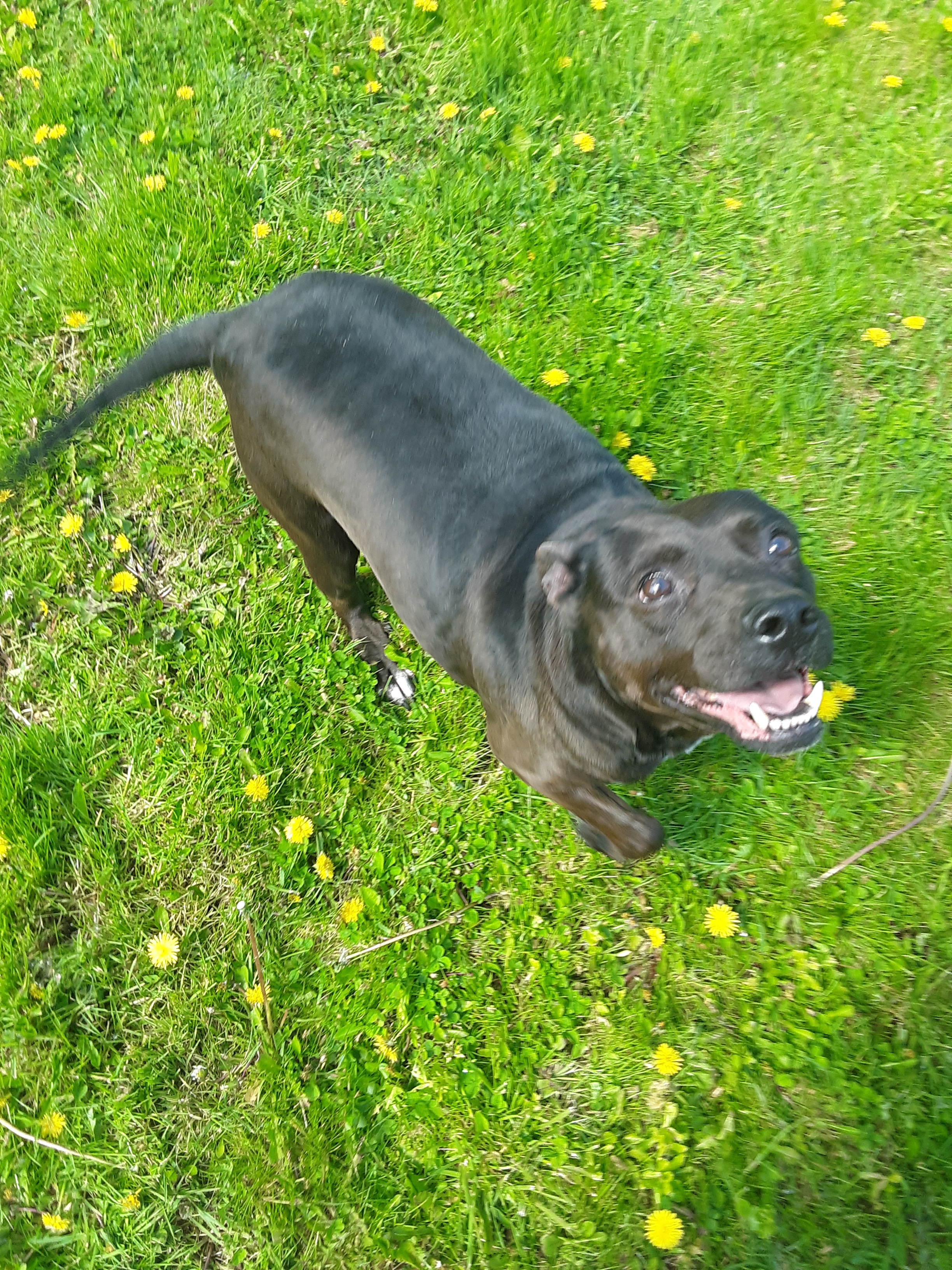 Lucy photo 5