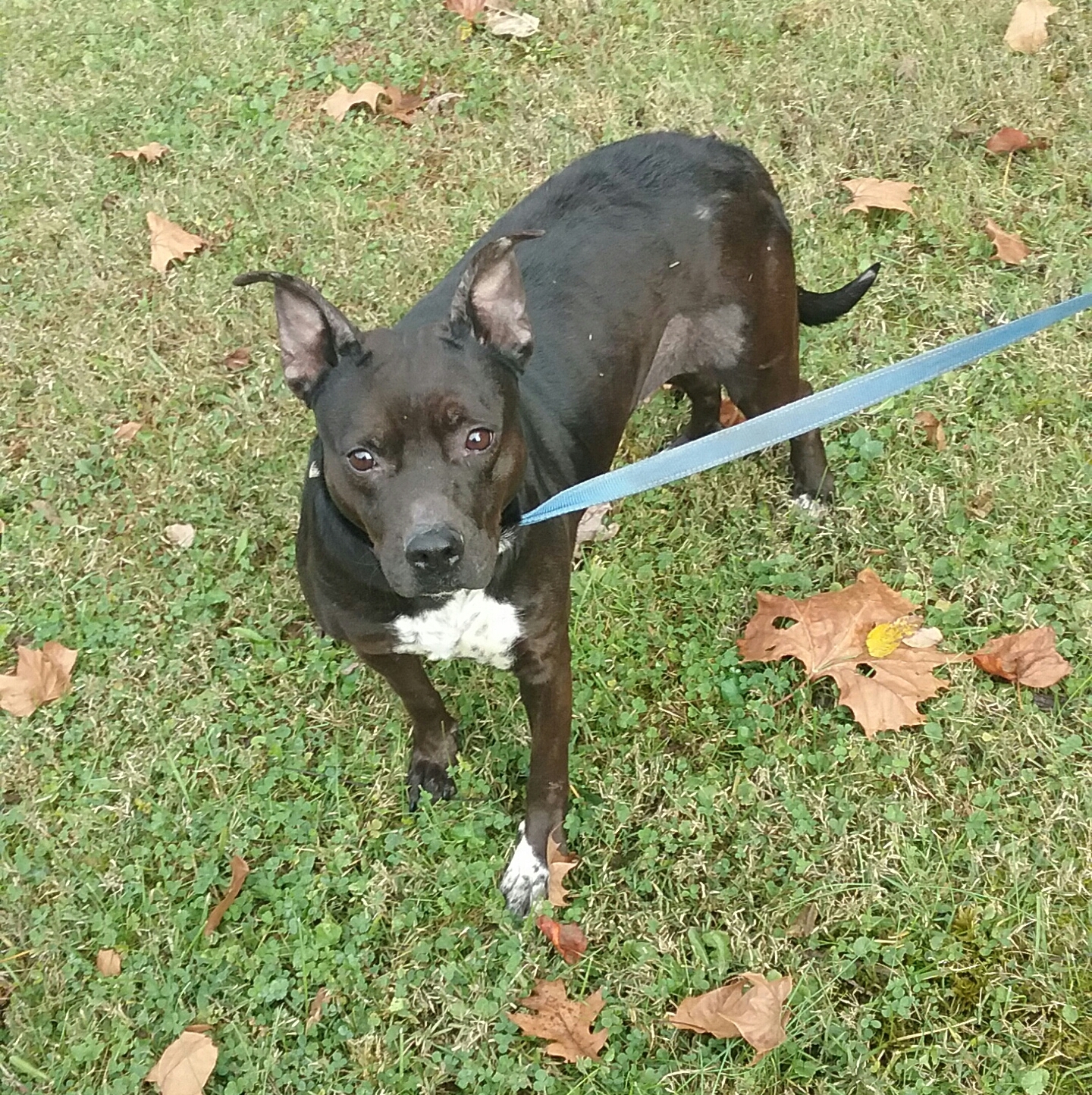 Lucy photo 3