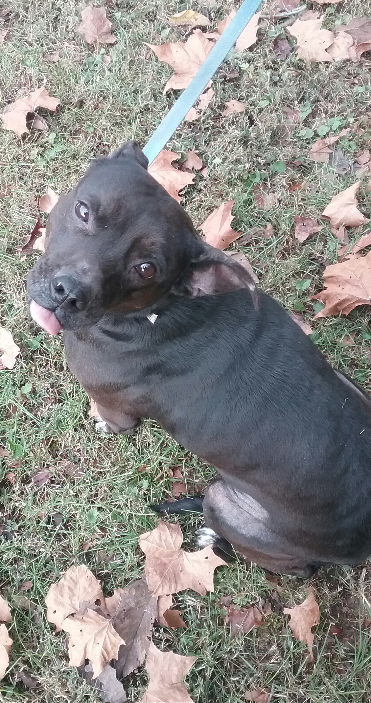 Lucy photo 2