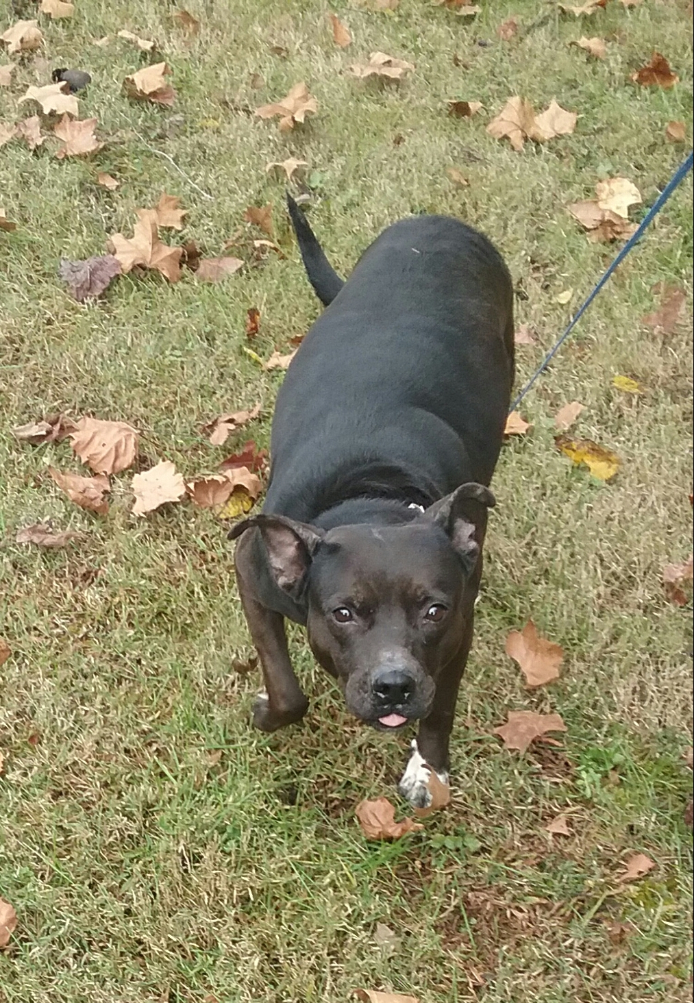 Lucy photo 4
