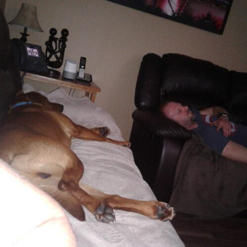 Enlarge Forrest, a Adoptable mixed breed in Duart, ON image 3/4