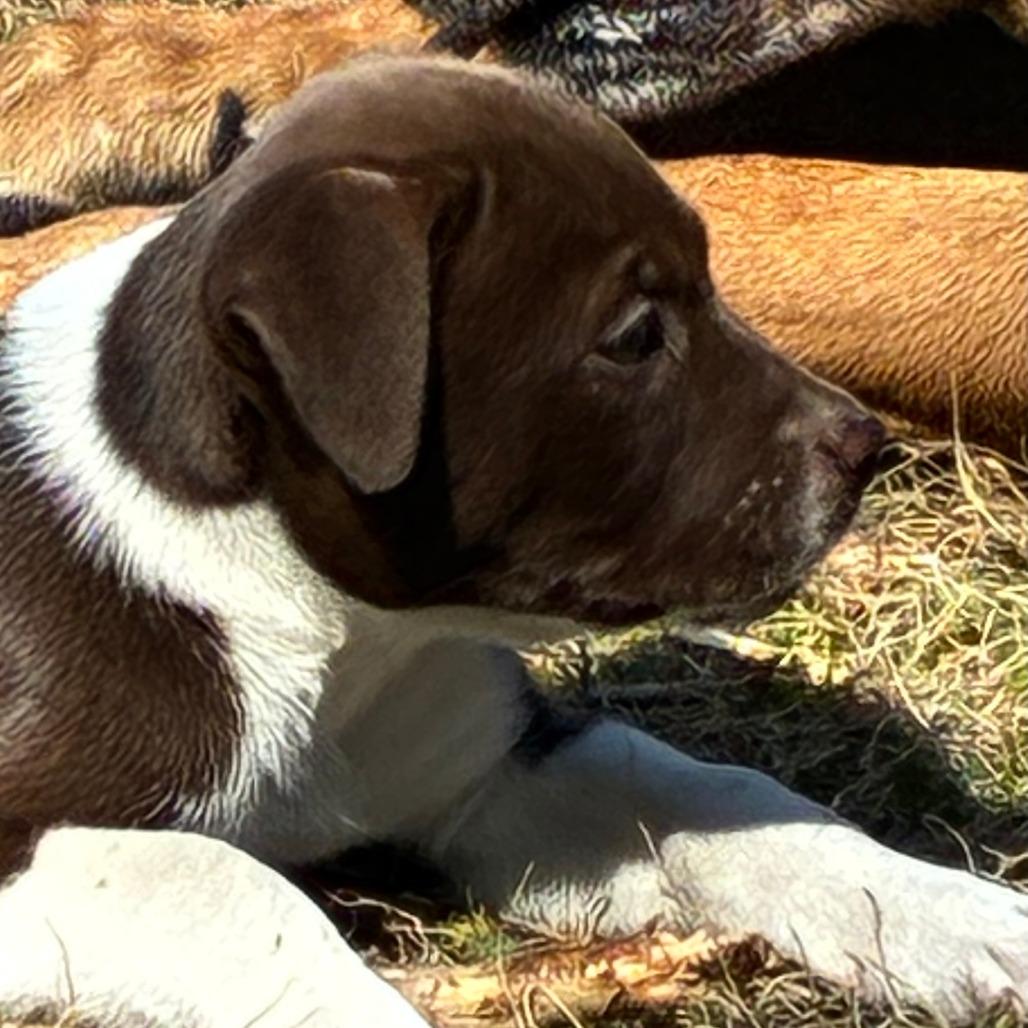 Andreina — thumbnail 2