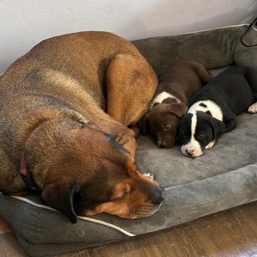 Andreina — thumbnail 3