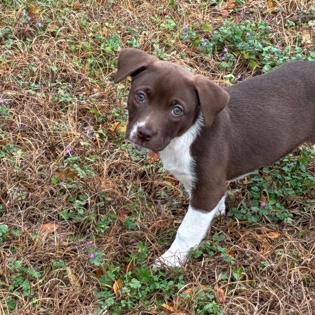 Andreina — thumbnail 4