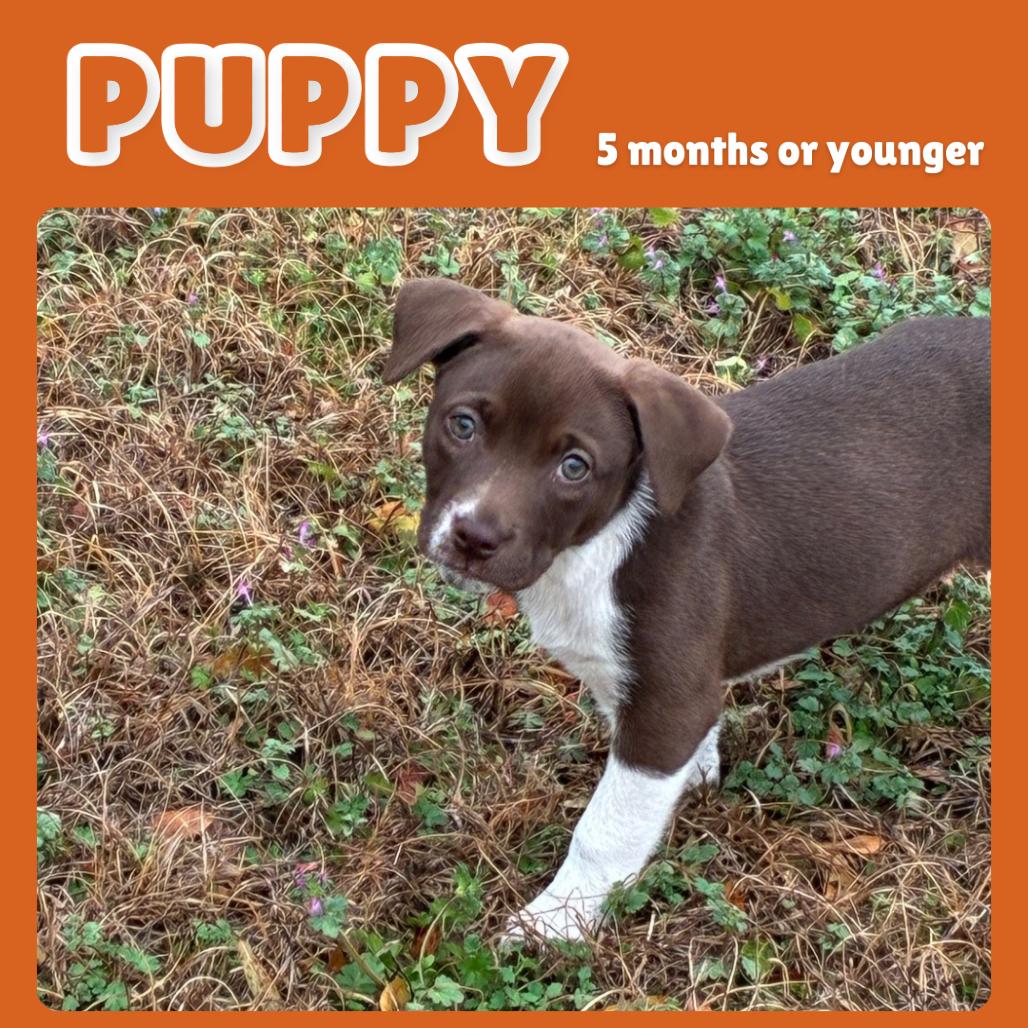 Andreina — thumbnail 5