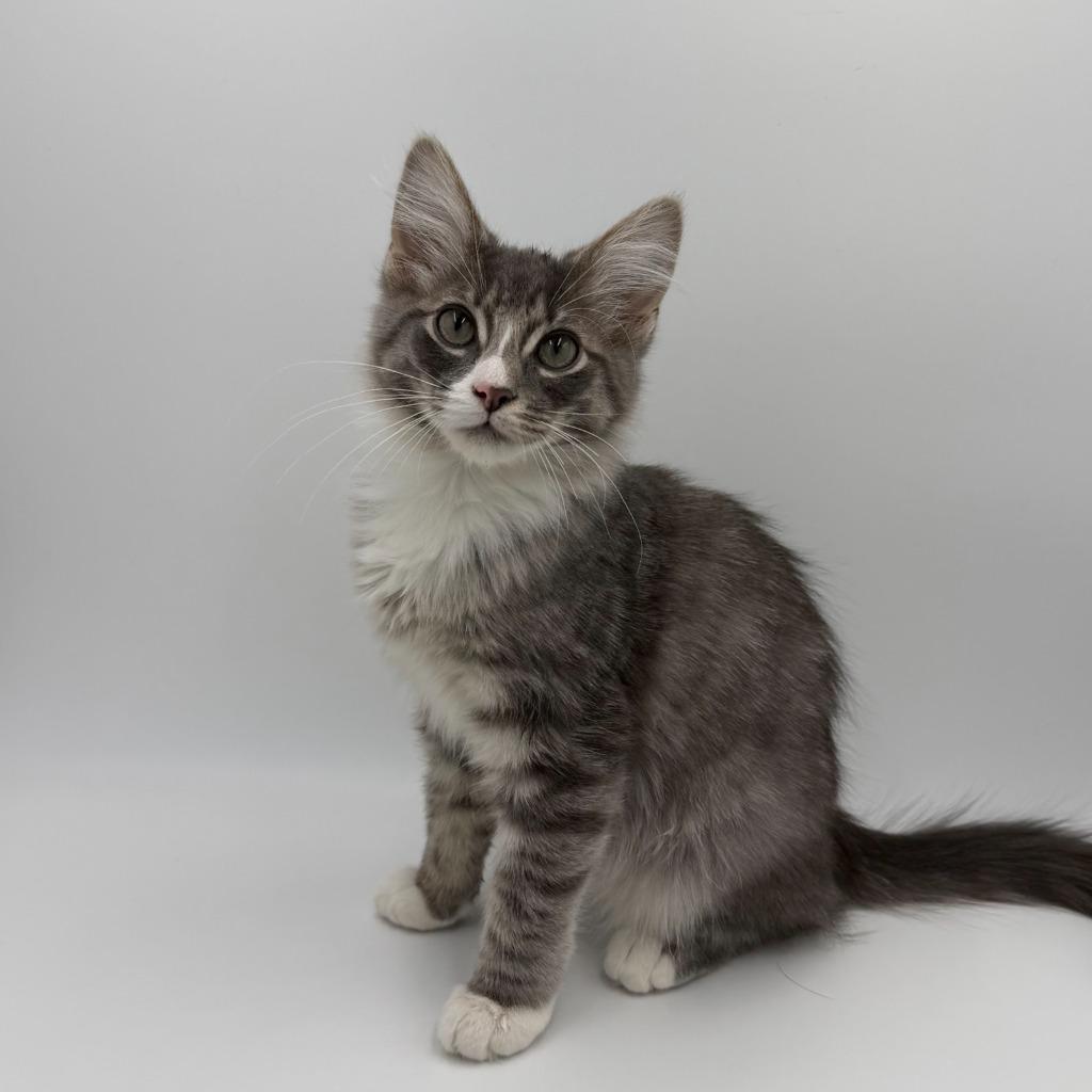 Cat Cobain thumbnail 4