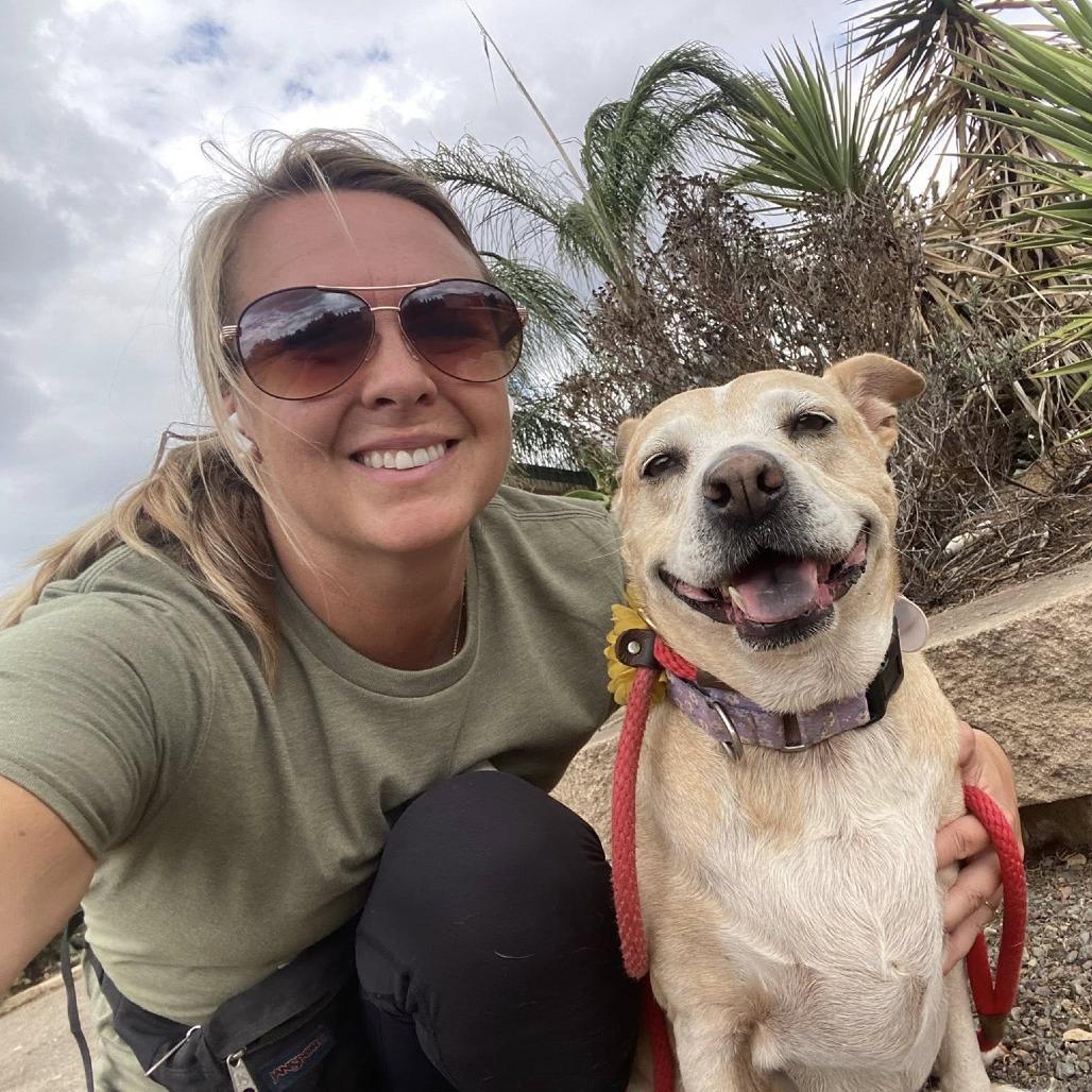 Sprinkles, a Adoptable mixed breed in Ramona, CA image 6/6