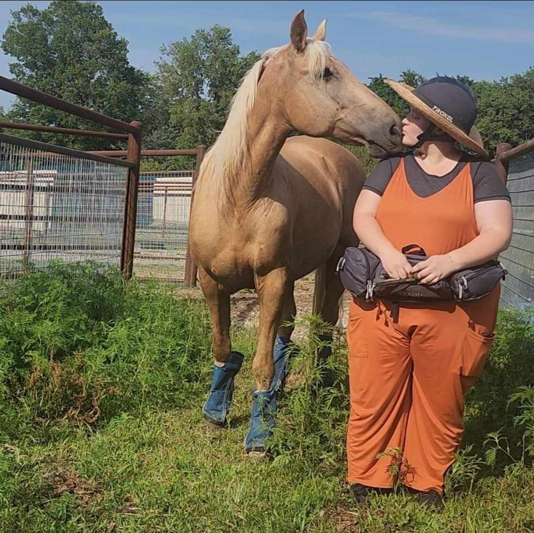 Clementine, a Adopted Missouri Foxtrotter in Willard, MO image 6/6