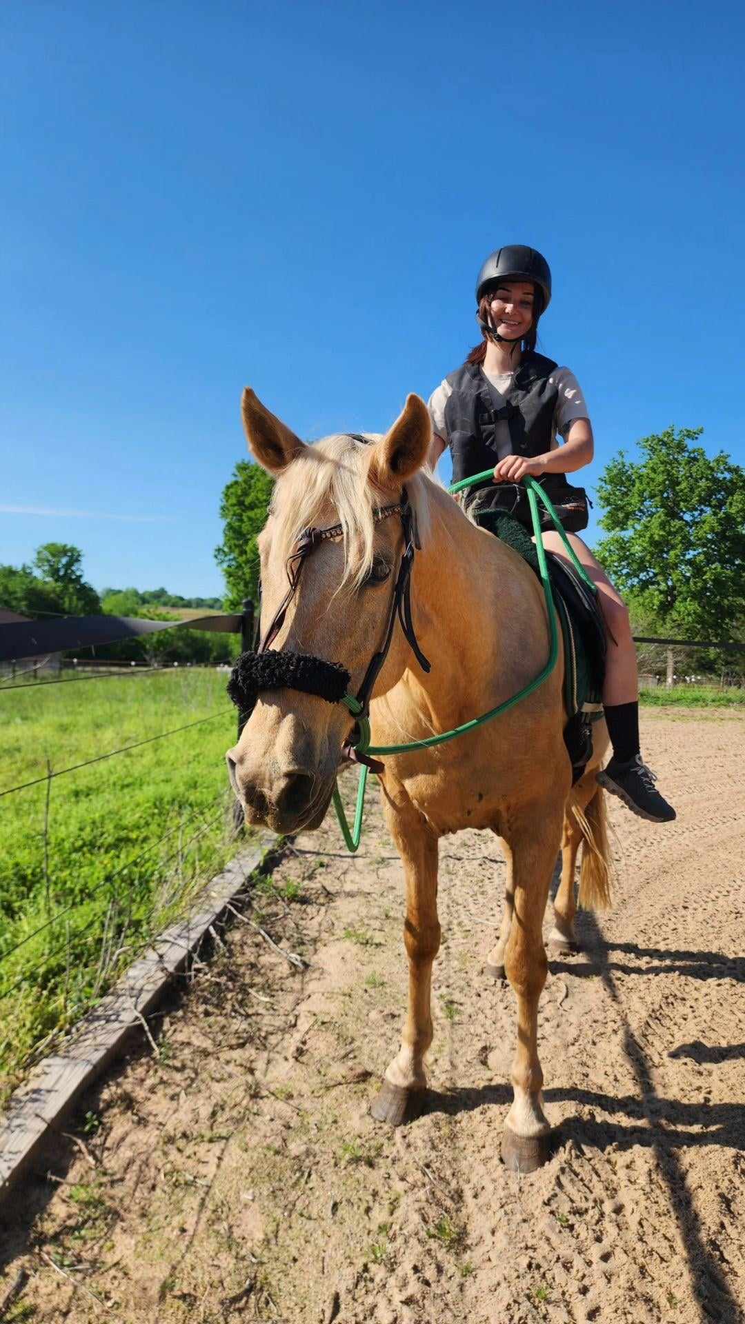 Clementine, a Adopted Missouri Foxtrotter in Willard, MO image 1/6