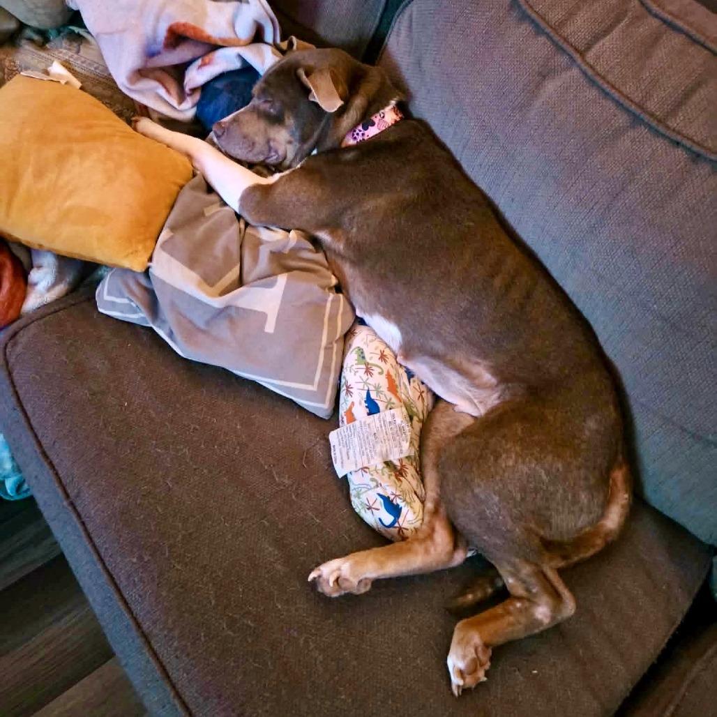 Latte — thumbnail 3