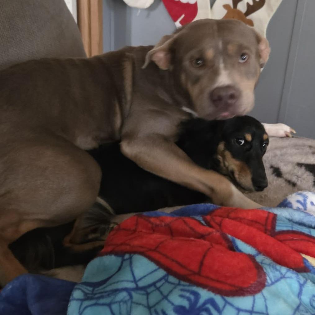 Latte — thumbnail 4