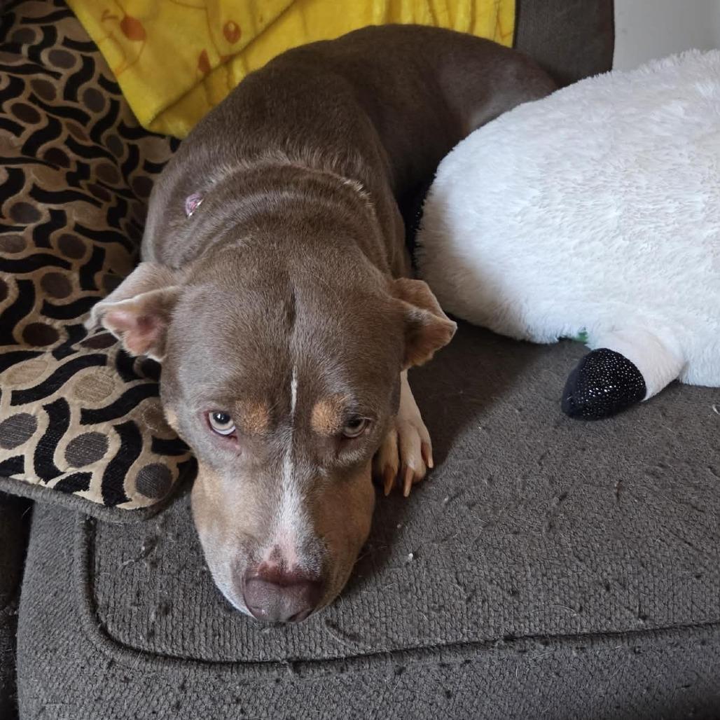 Latte — thumbnail 6