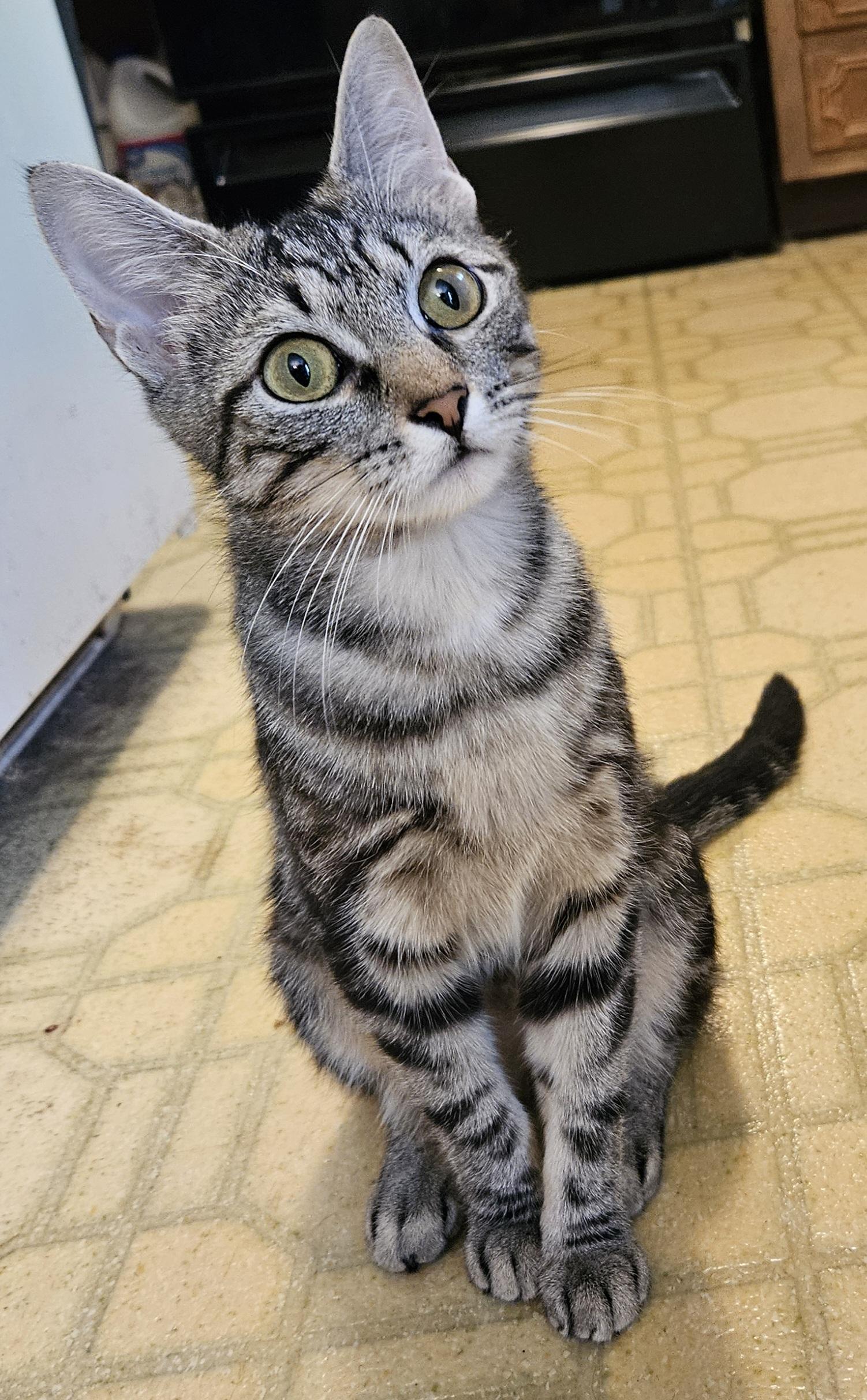 Trina-AFFECTIONATE!