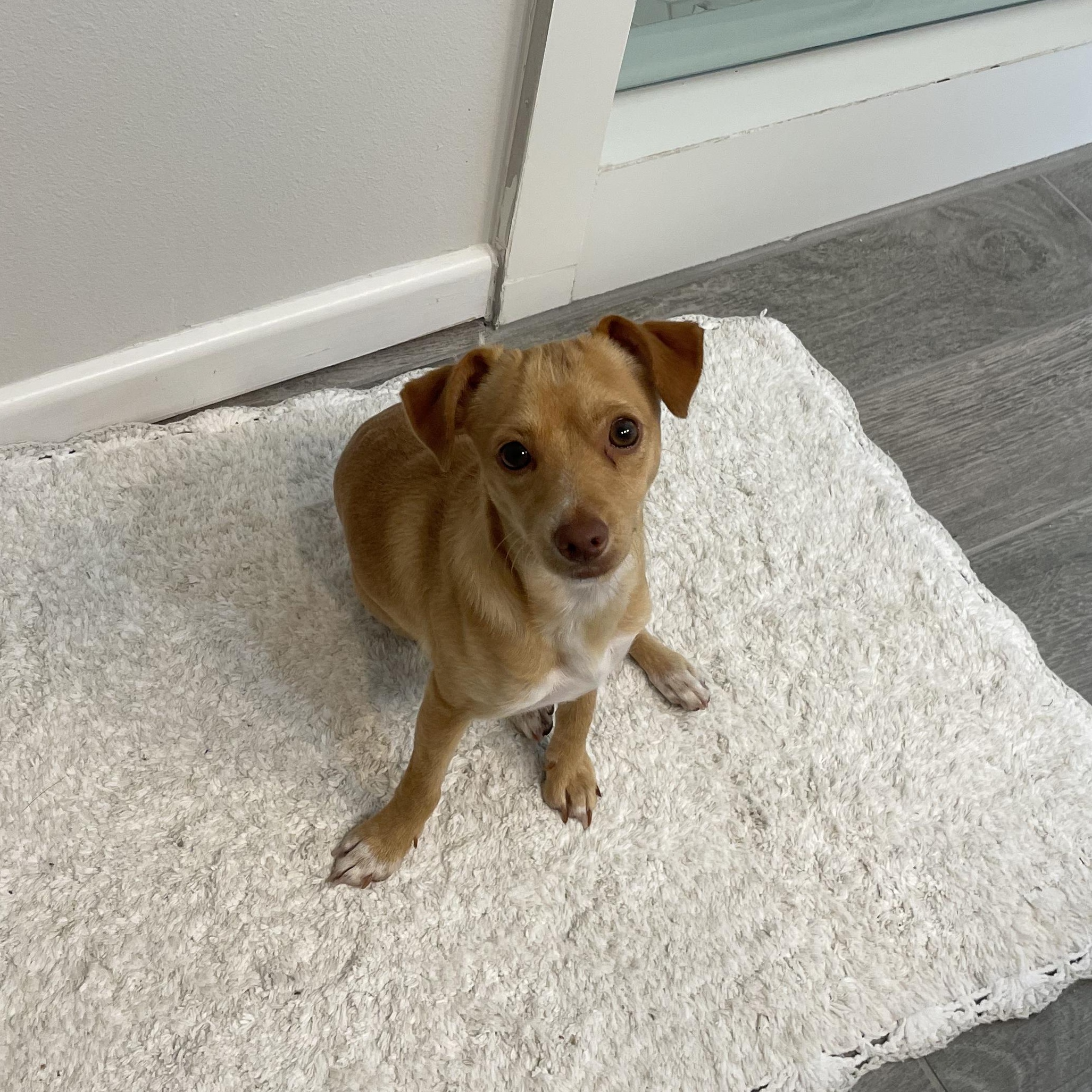 Coco