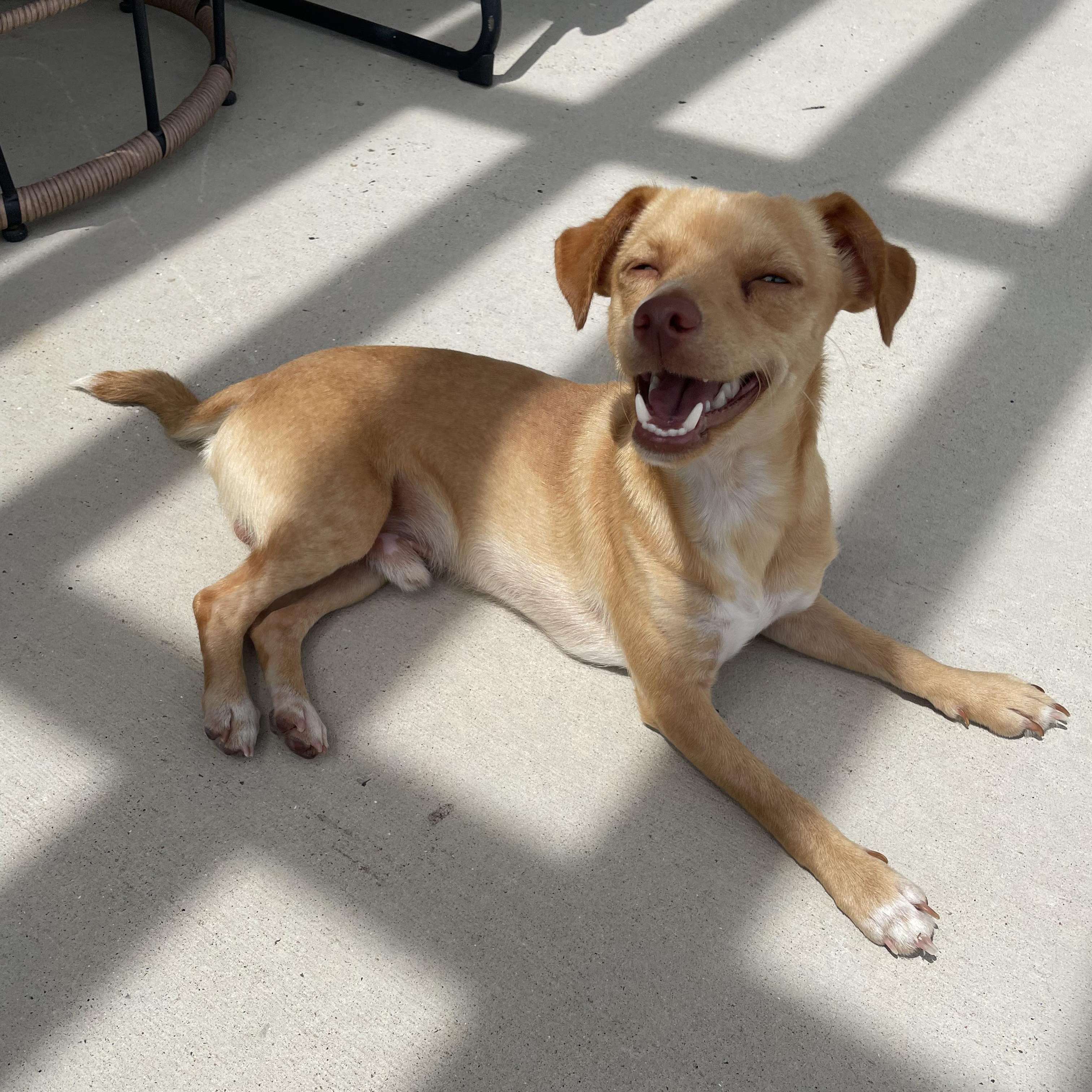 Coco