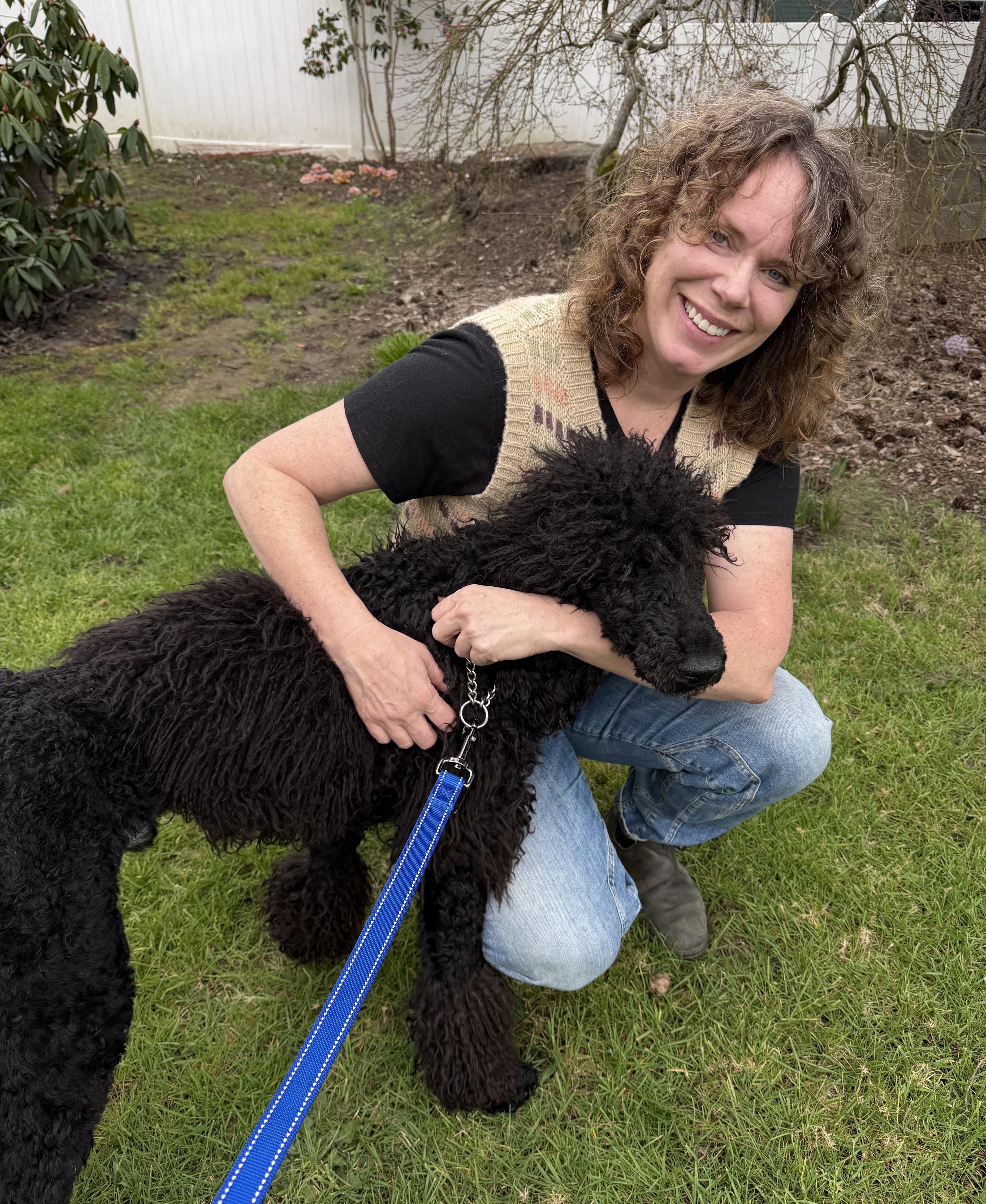 Enlarge Kuzco, a ADOPTABLE Standard Poodle in Beaverton, OR image 3/6