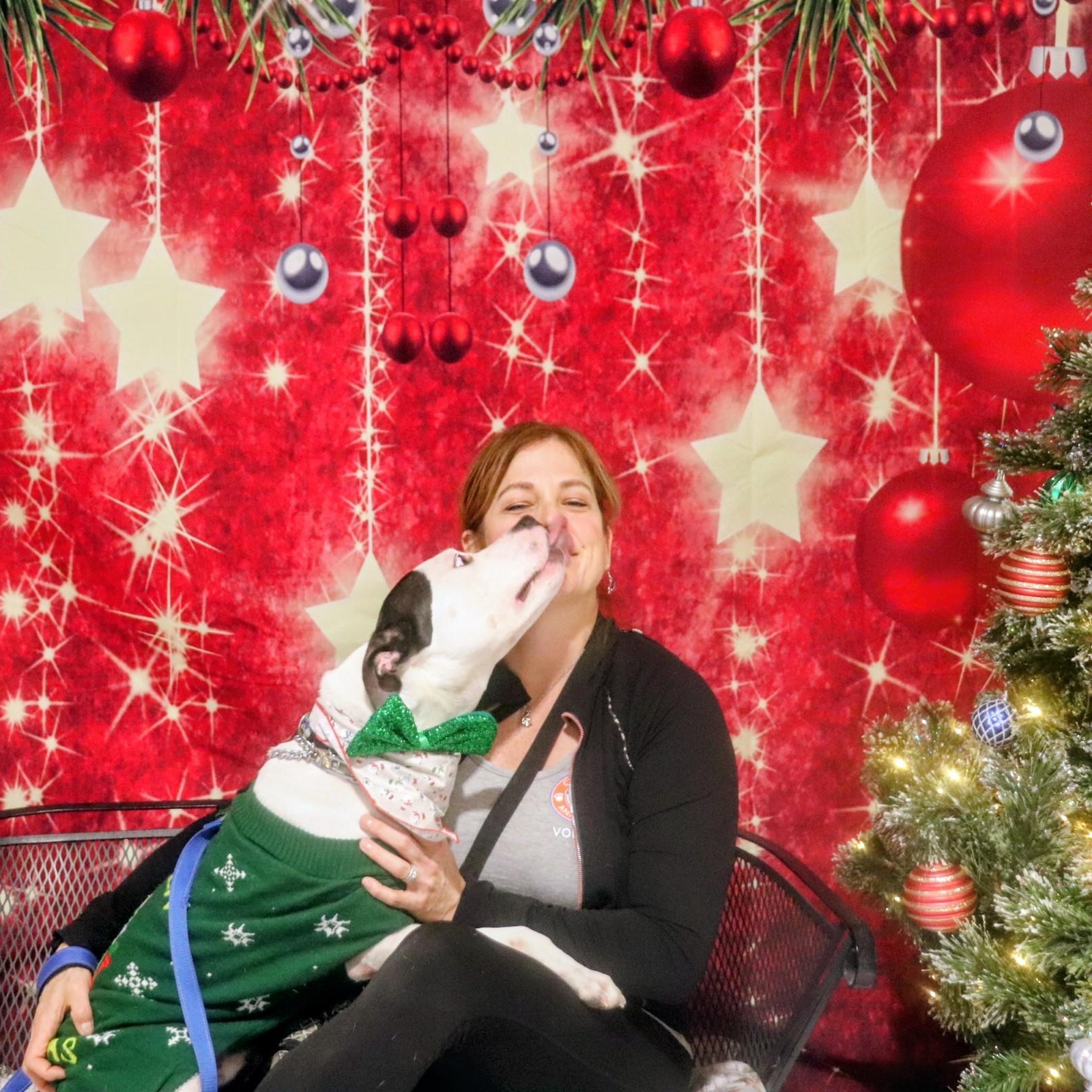 Ghost, a Adoptable mixed breed in Buffalo, NY image 5/5