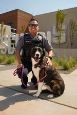 Emma, an adopted mixed breed in Stillwater, OK image 2/3