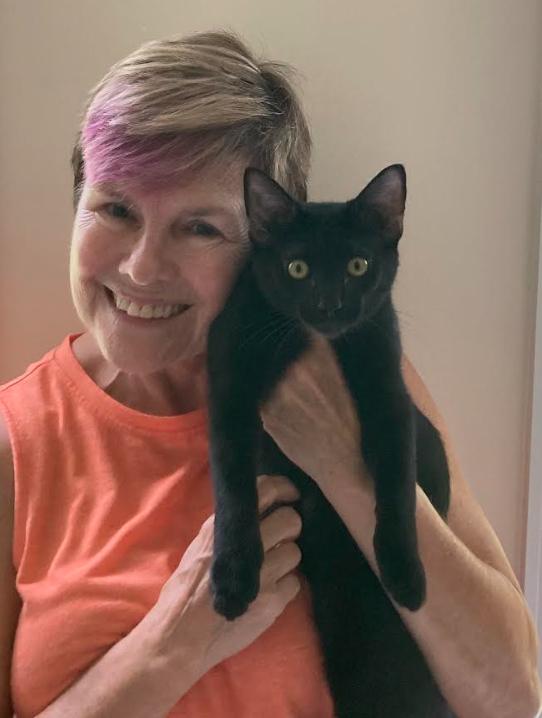 Enlarge Buns, a Adopted Domestic Short Hair in Hampstead, NC image 2/3