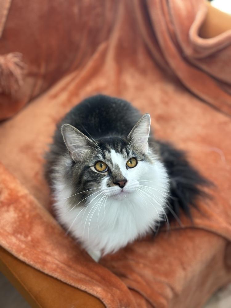 Smudge — thumbnail 2