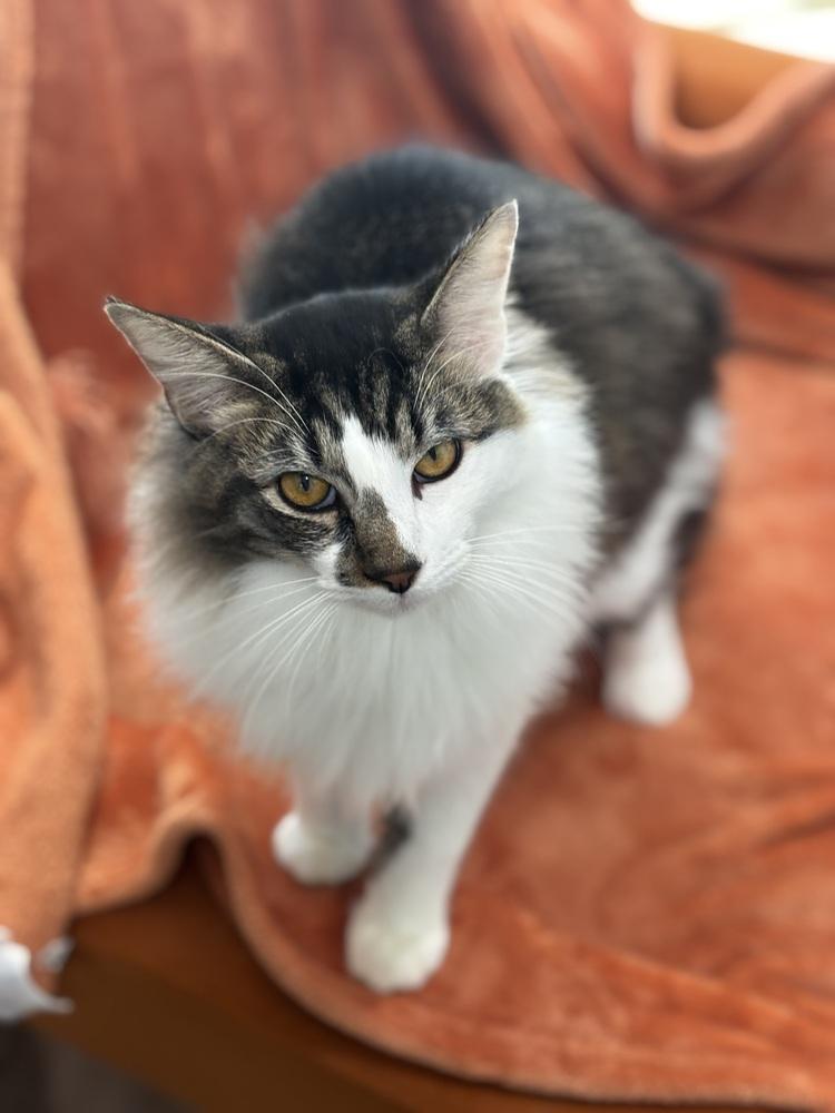 Smudge — thumbnail 3