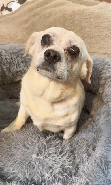 Snuggly Sid thumbnail 5