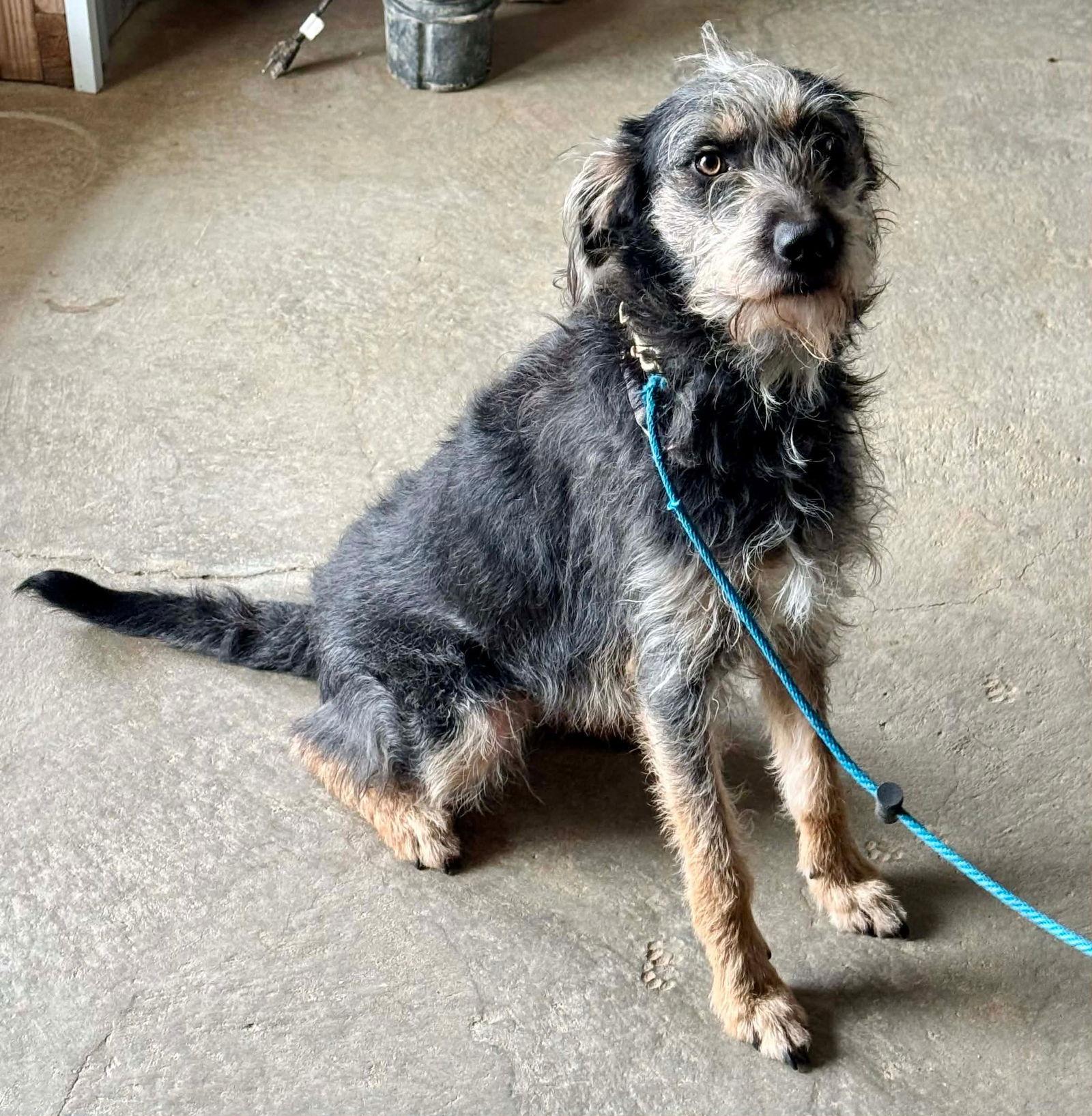 Cali — thumbnail 2