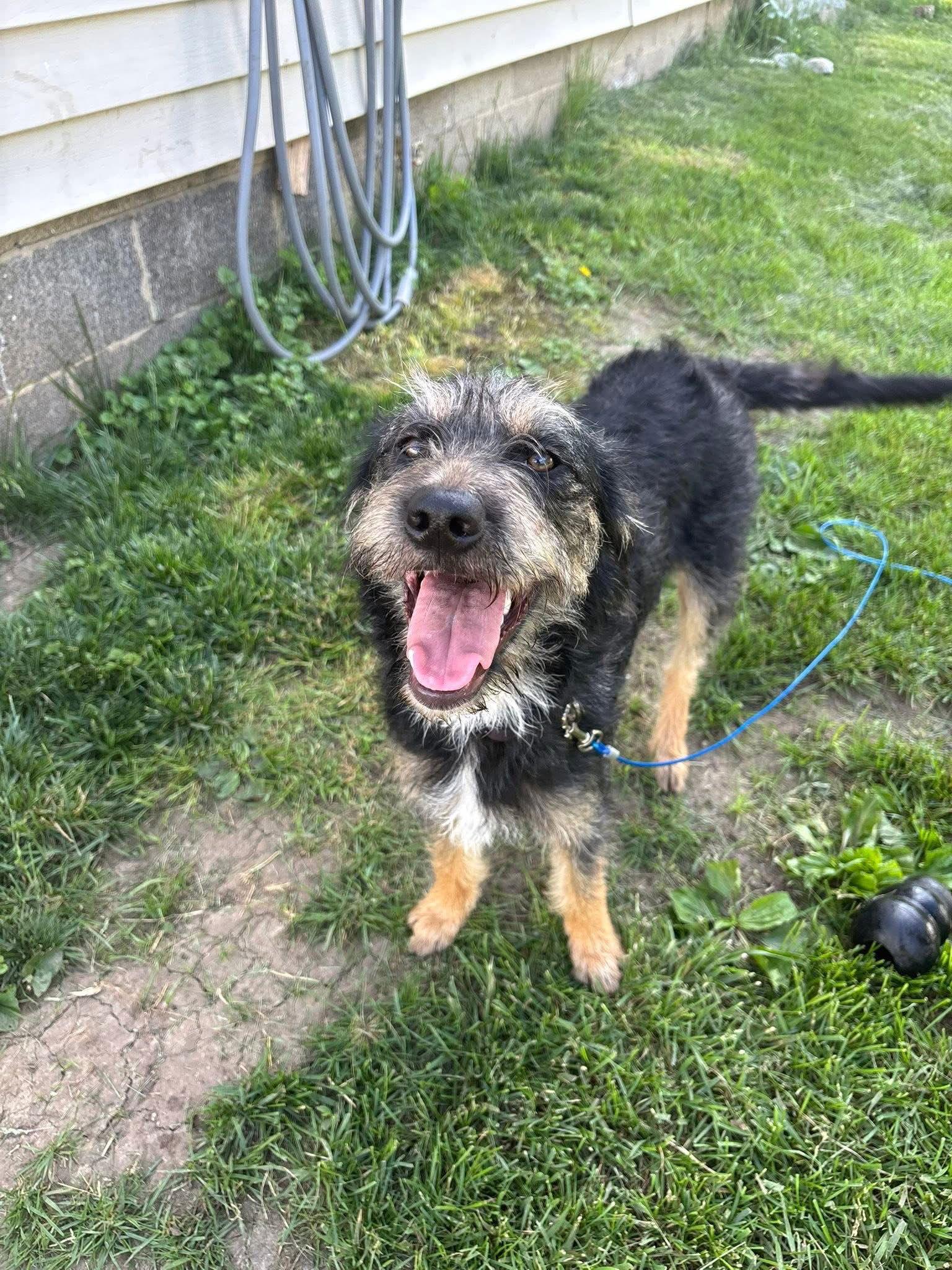 Cali — thumbnail 3