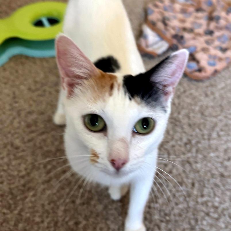 Samantha — thumbnail 2