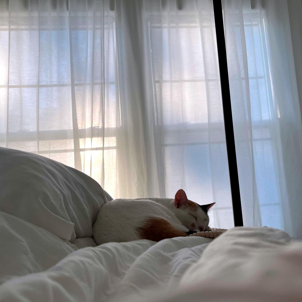 Samantha — thumbnail 4