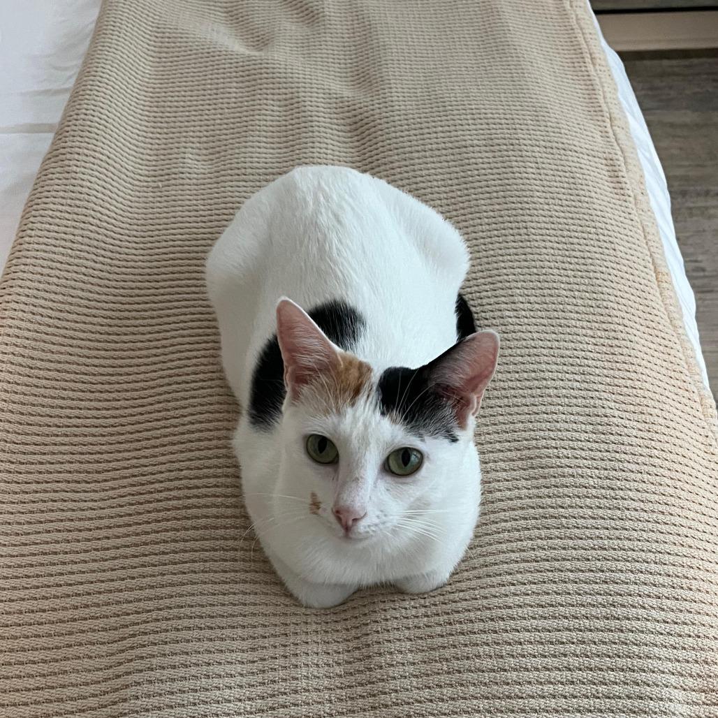 Samantha — thumbnail 5