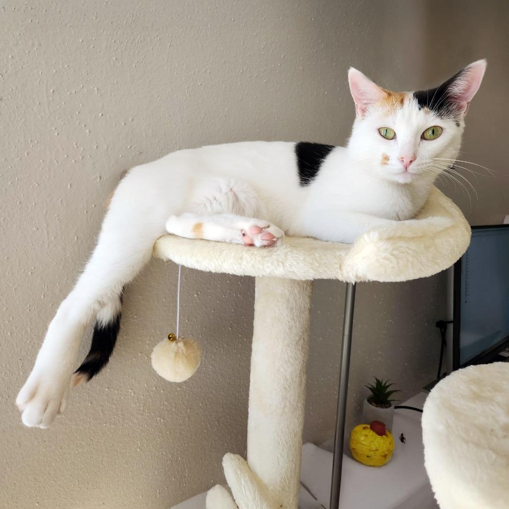 Samantha — thumbnail 6