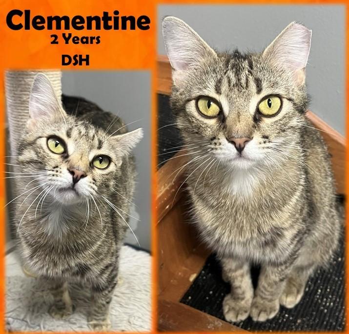 Clementine