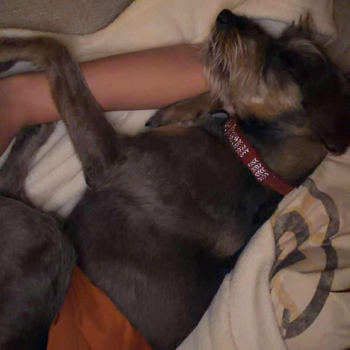 Prinston — thumbnail 4