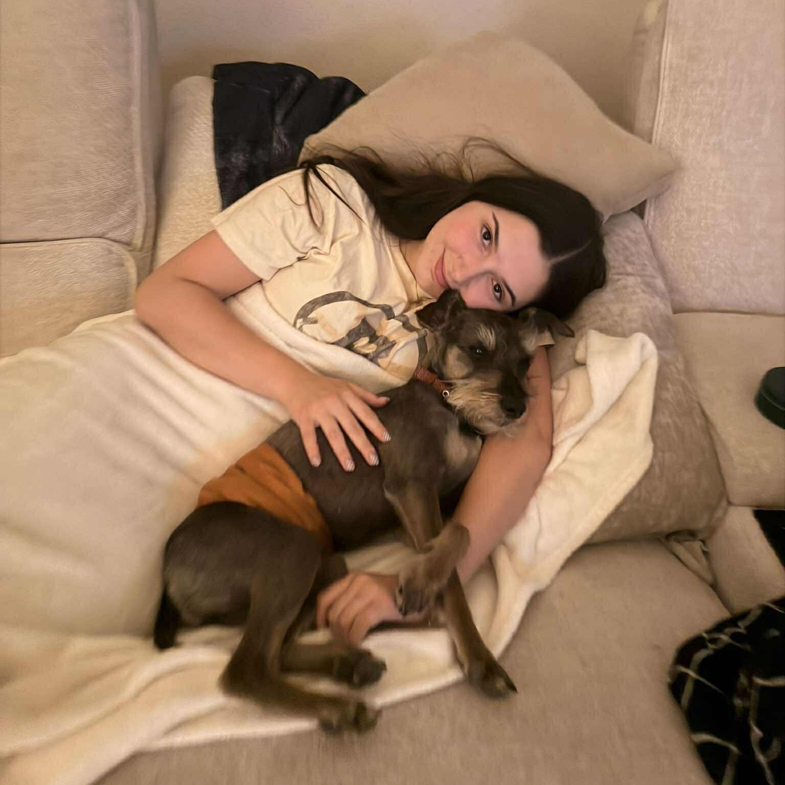 Enlarge Prinston, a ADOPTABLE Miniature Schnauzer in Homer Glen, IL image 2/6