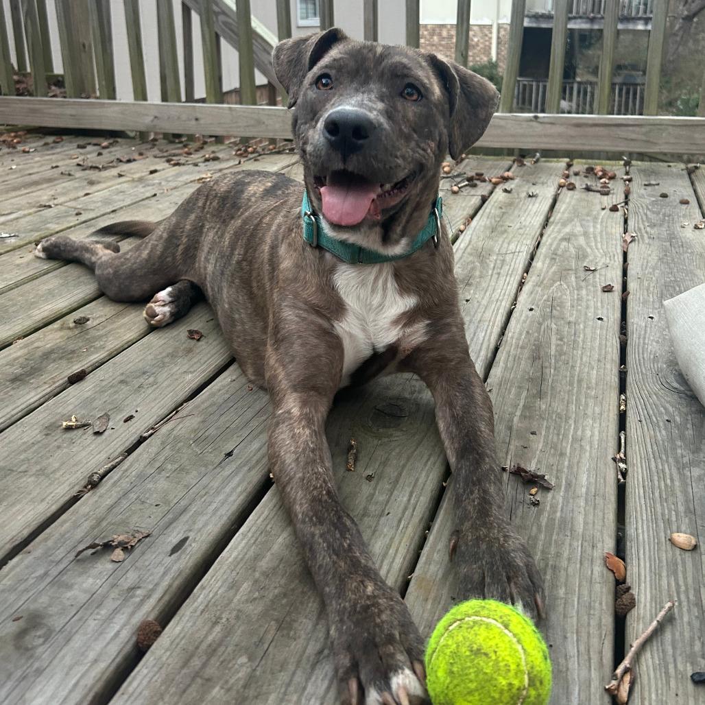 Starla — thumbnail 2