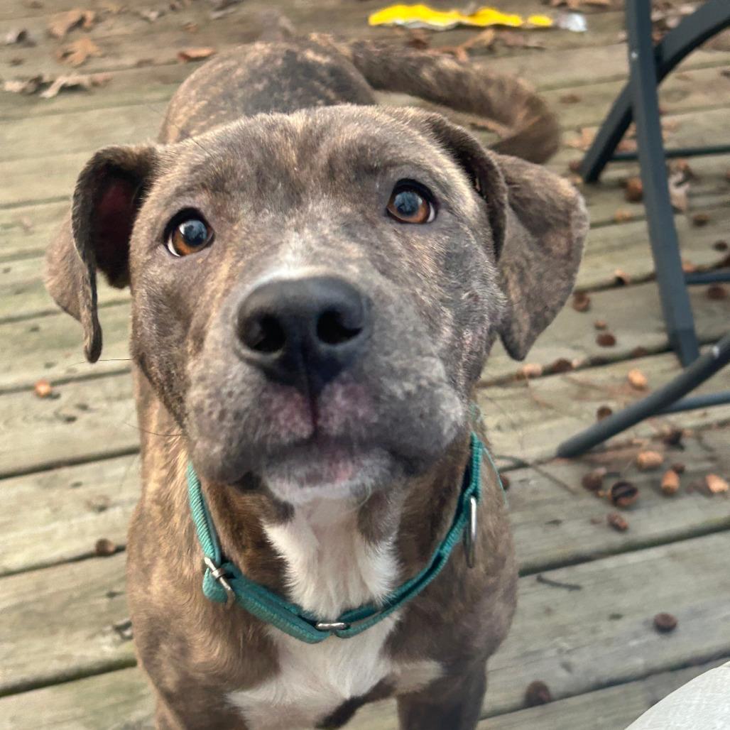 Starla — thumbnail 5