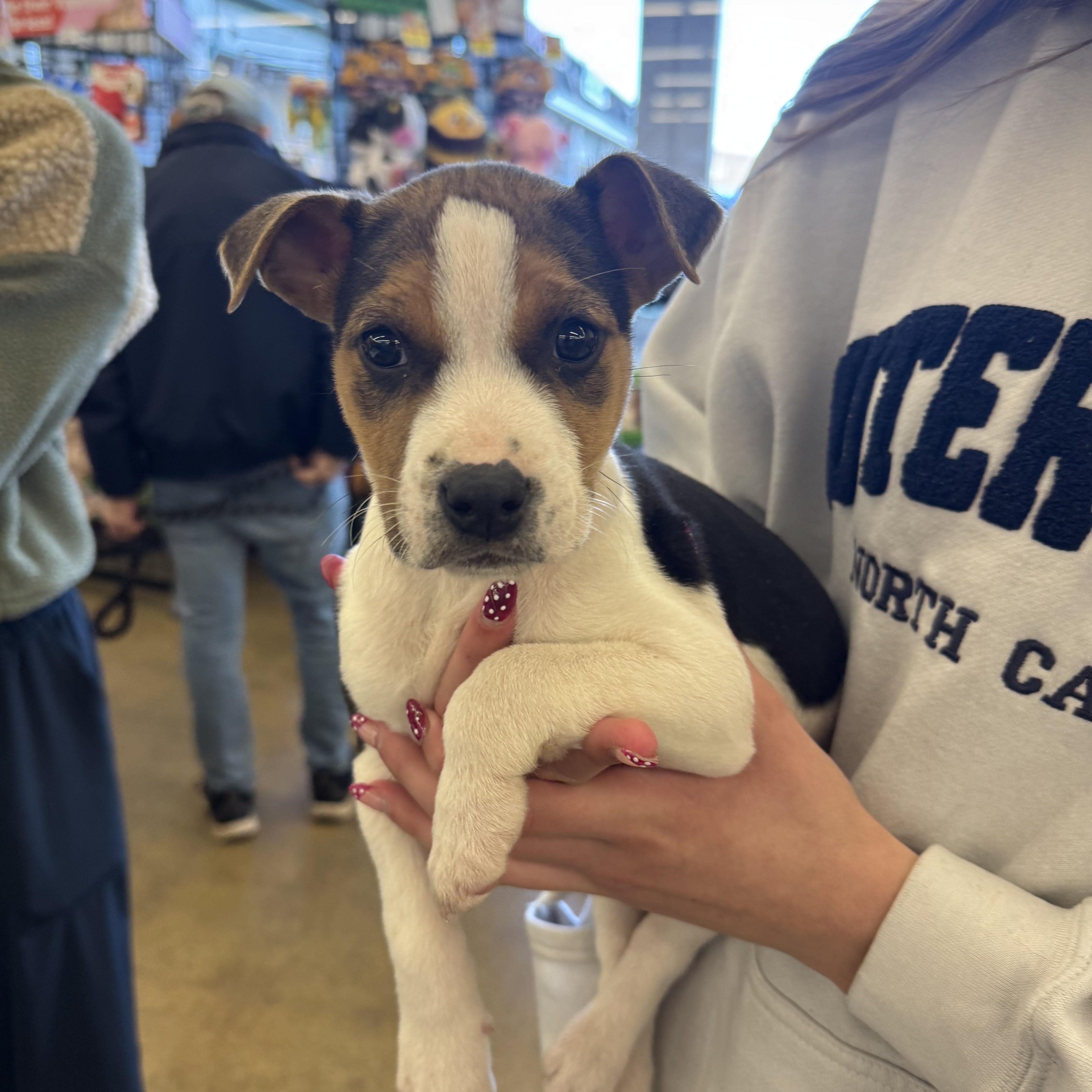 Hercules thumbnail 2