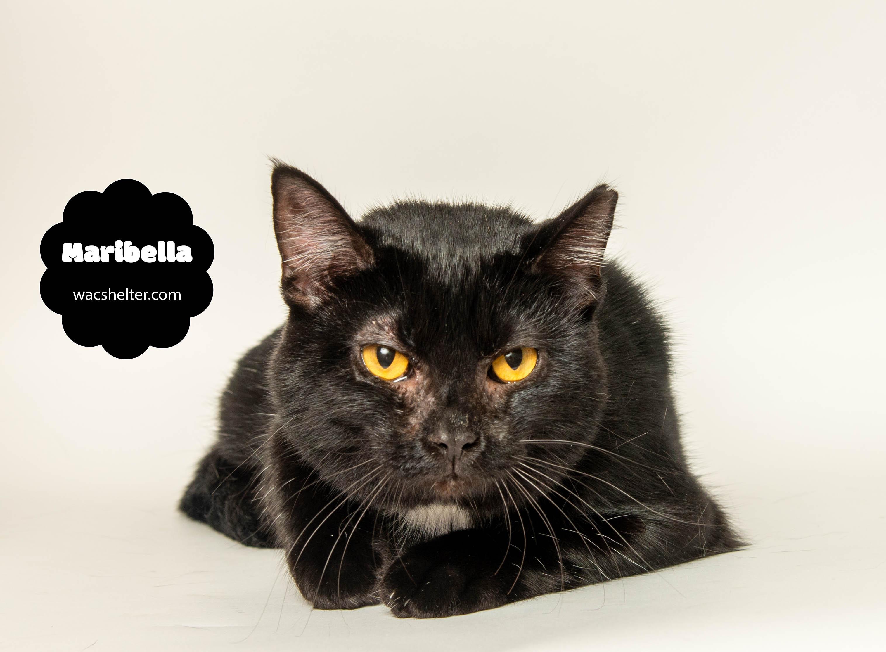 MARIBELLA (Gives High Fives)
