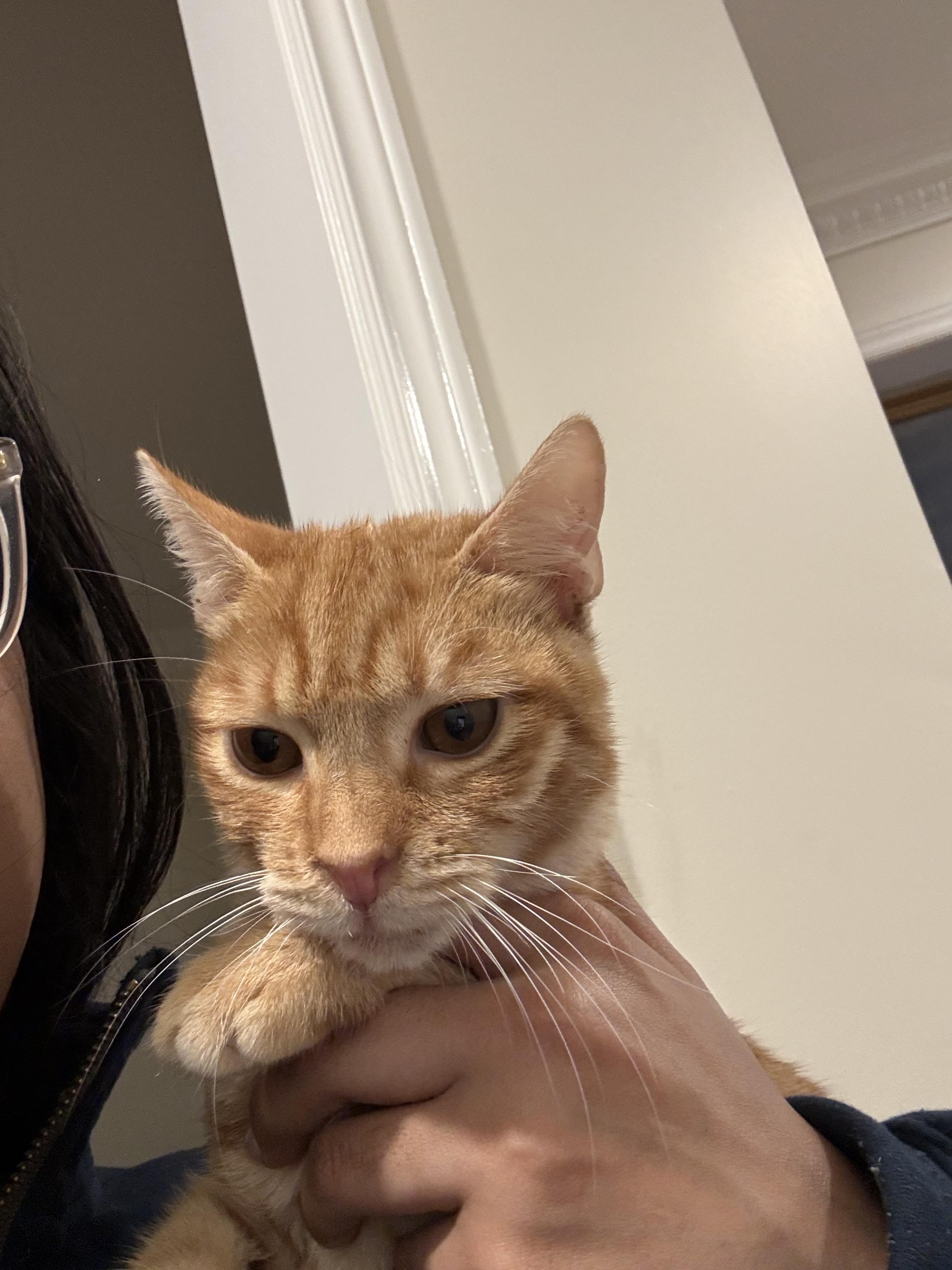 Lora - Sweetest Girl