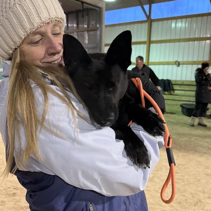 Enlarge Abagail, a ADOPTABLE mixed breed in Cedarburg, WI image 4/6