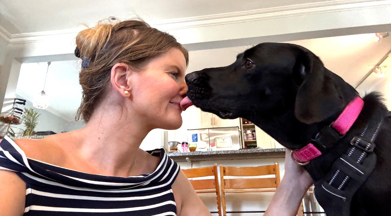 Mr Birdie thumbnail 5