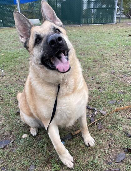 Adele — thumbnail 2