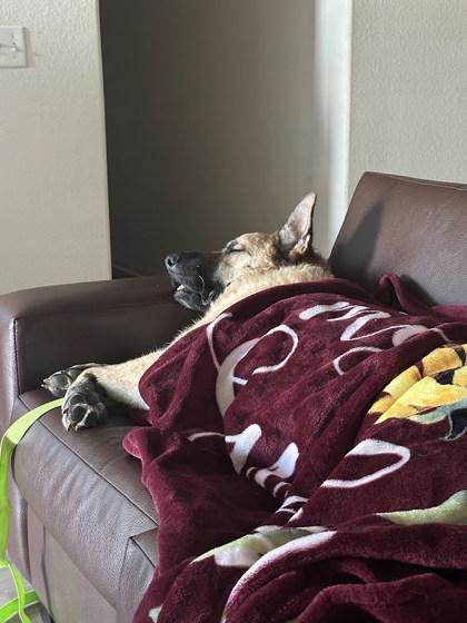 Adele — thumbnail 4