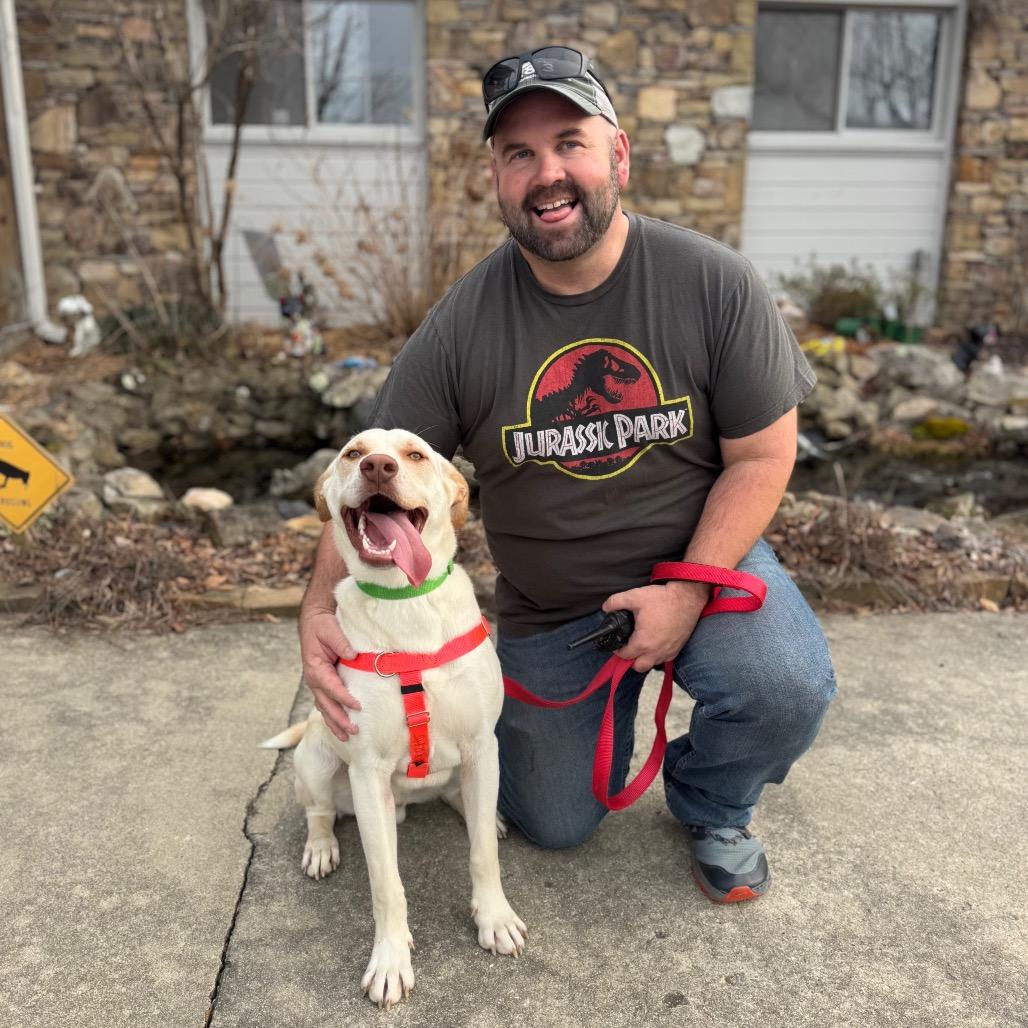 Enlarge Whiskey, a Adoptable Mixed Breed in Hendersonville, NC image 5/6
