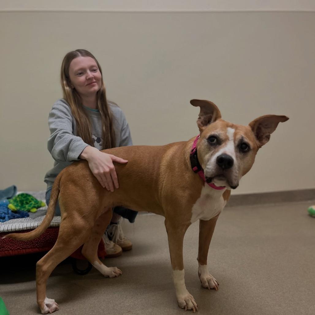 Daisy — thumbnail 3