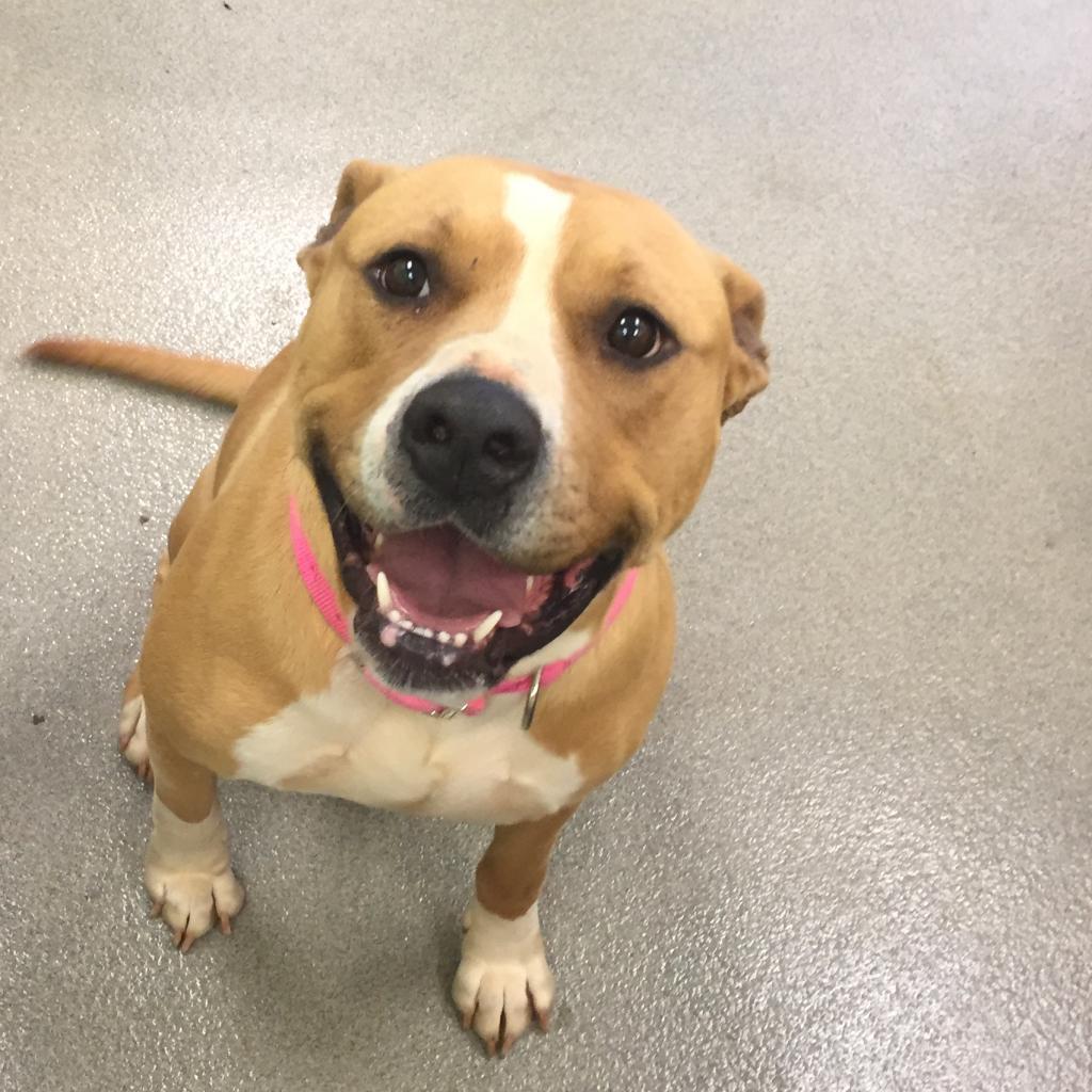 Daisy — thumbnail 6