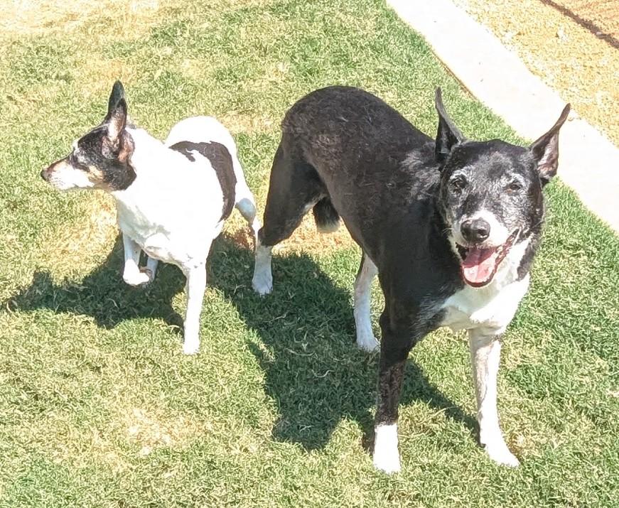 Bella* A212488