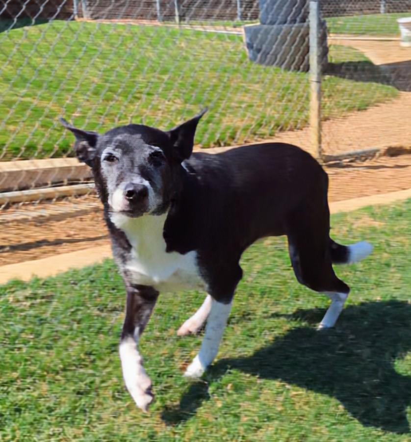 Bella* A212488